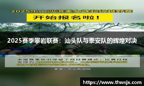 2025赛季攀岩联赛：汕头队与泰安队的辉煌对决